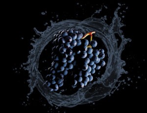 Frozen Black Grapes Juice Manufacturer, Supplier and Exporter | Frutteto